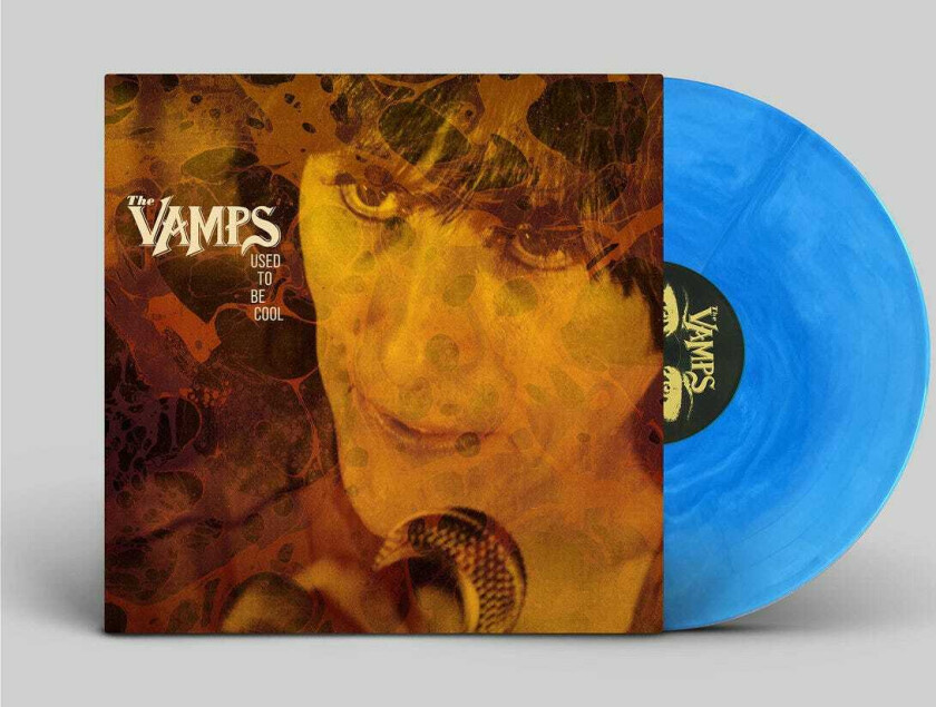 The Vamps (USA) Used To Be Cool LP/Vinyl