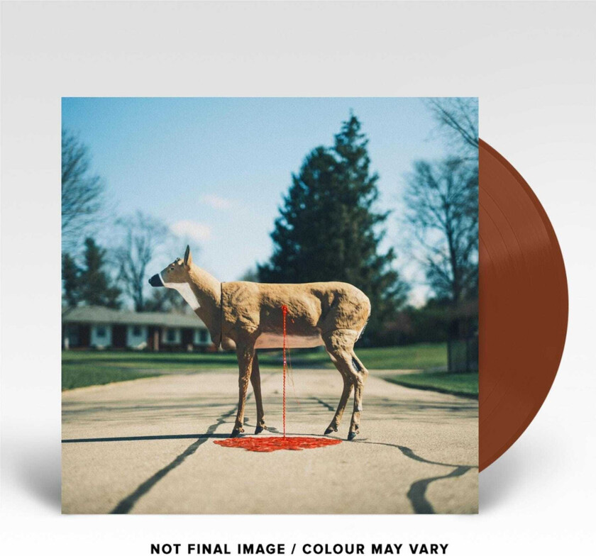 Wayne Graham Bastion LP/Vinyl