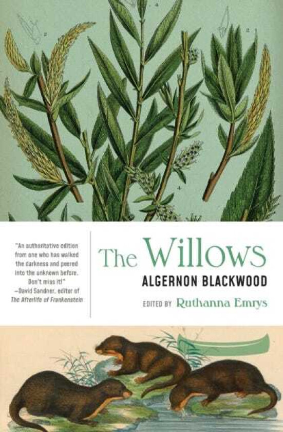 Bilde av The Willows