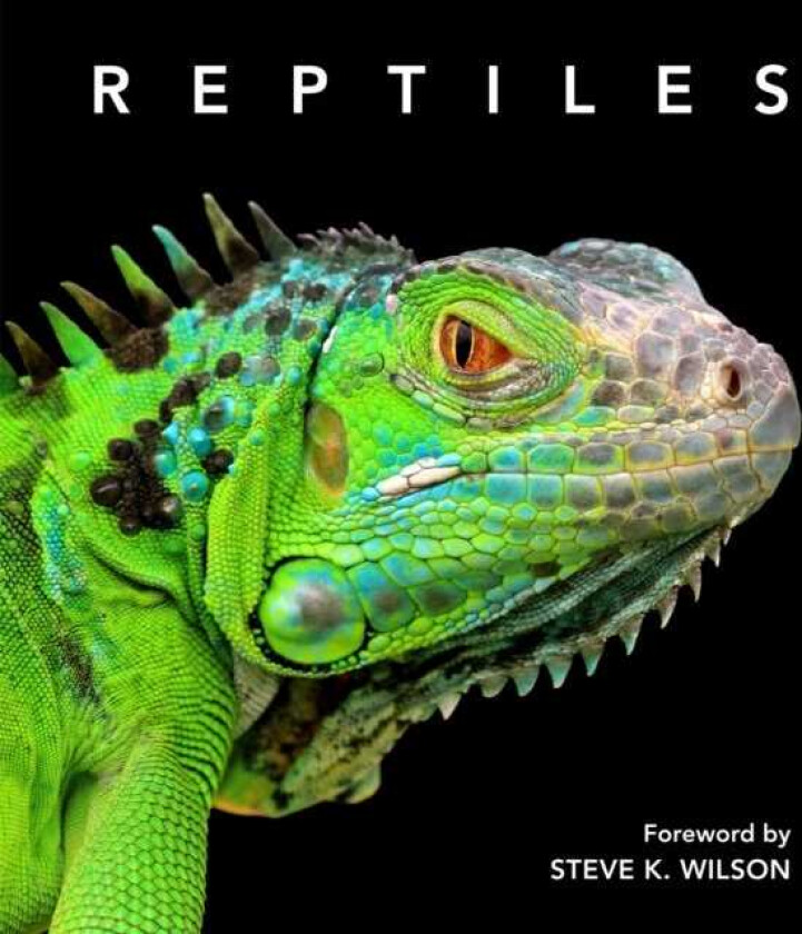 Reptiles Deluxe Series