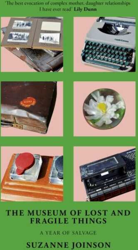 The Museum of Lost and Fragile Things A Year of Salvage