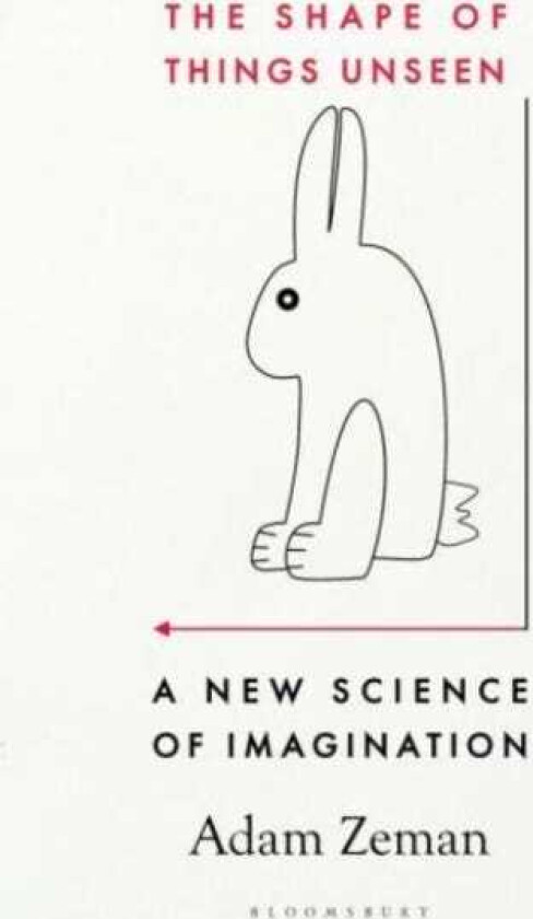The Shape of Things Unseen A New Science of Imagination