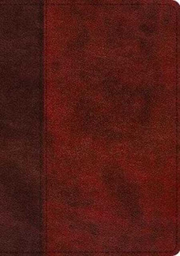 ESV Single Column Journaling Bible, Large Print