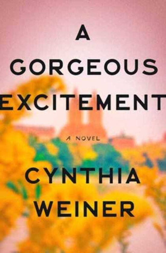 A Gorgeous Excitement A Novel