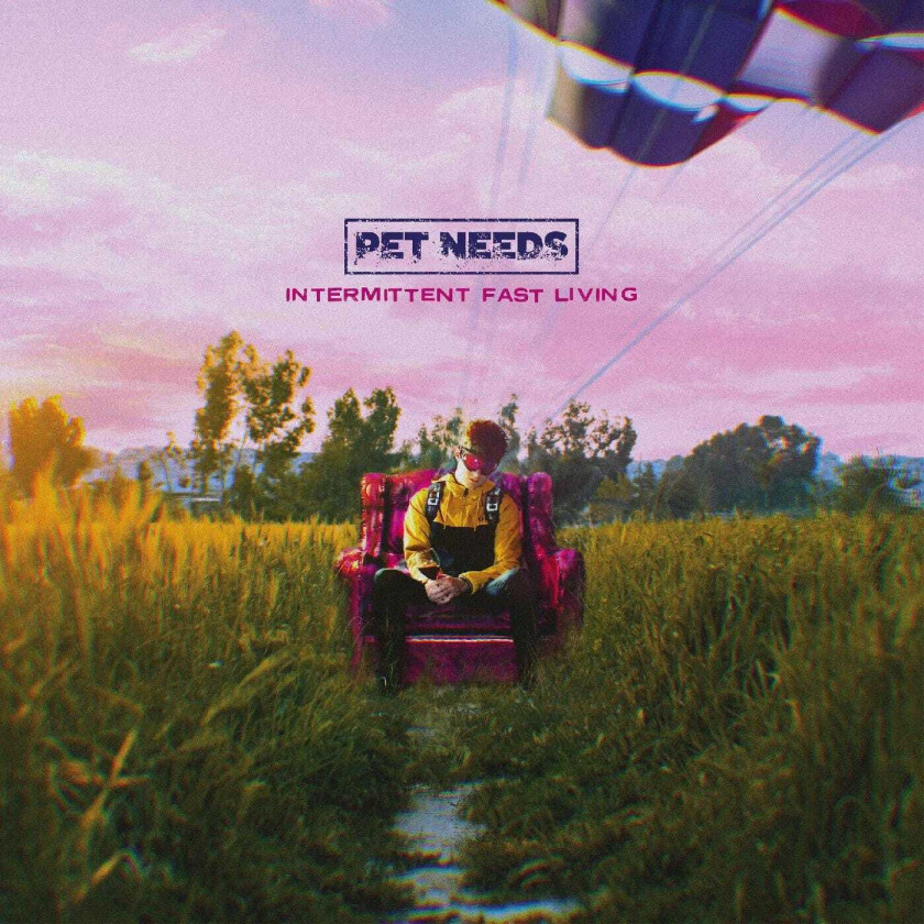 Pet Needs Intermittent Fast Living LP/Vinyl