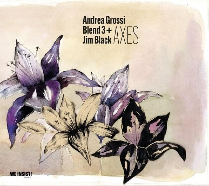 Andrea Grossi Blend 3, Jim Black Axes CD