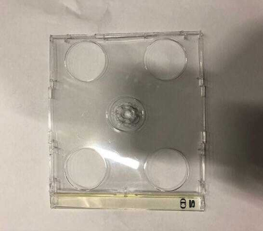 Bilde av CDRekvisita Satek Smart Tray for 2CD 10stk CD