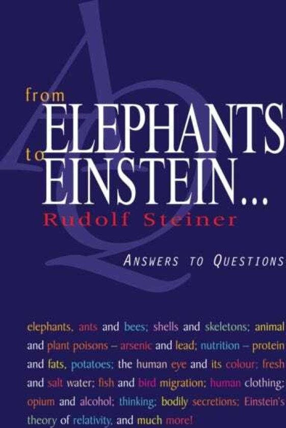 From Elephants to Einstein Answers to Questions