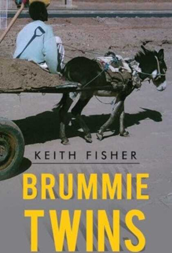 Brummie Twins