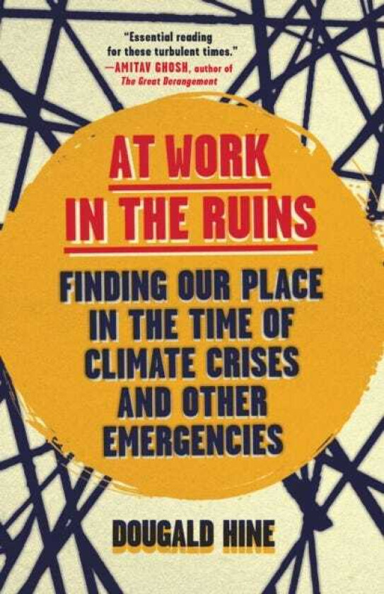 At Work in the Ruins Finding Our Place in the Time of Climate Crises and Other Emergencies