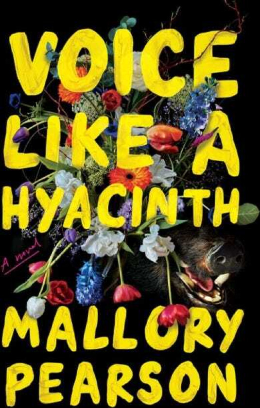 Voice Like a Hyacinth A Novel