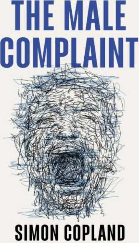 The Male Complaint The Manosphere and Misogyny Online
