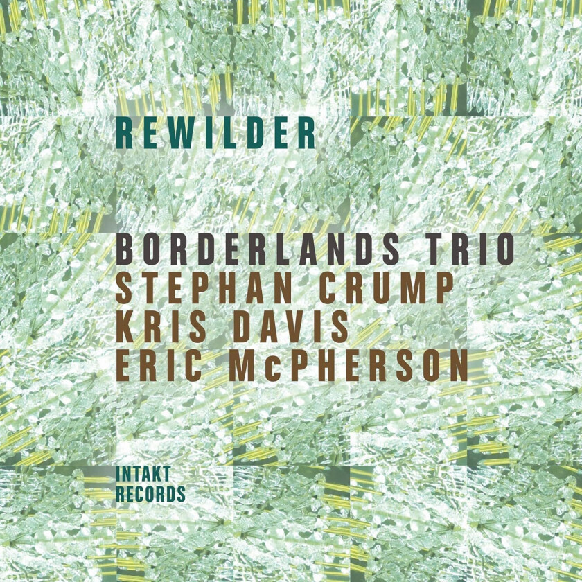 Borderlands Trio Rewilder CD