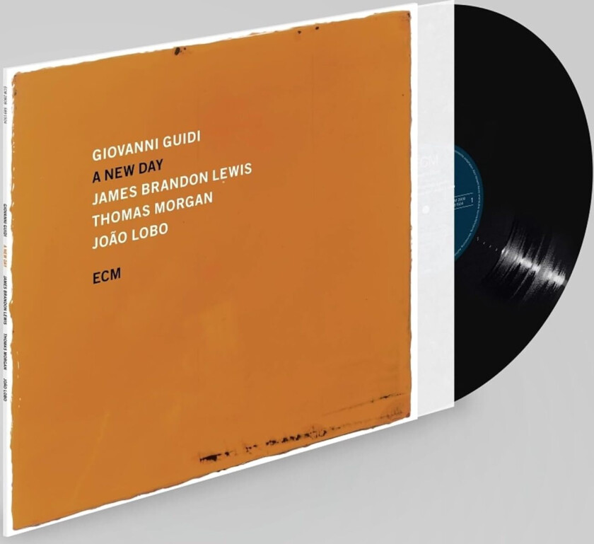 Giovanni Guidi A New Day LP/Vinyl