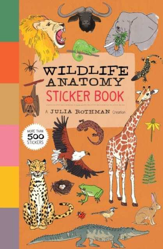 Wildlife Anatomy Sticker Book A Julia Rothman Creation: More than 500 Stickers