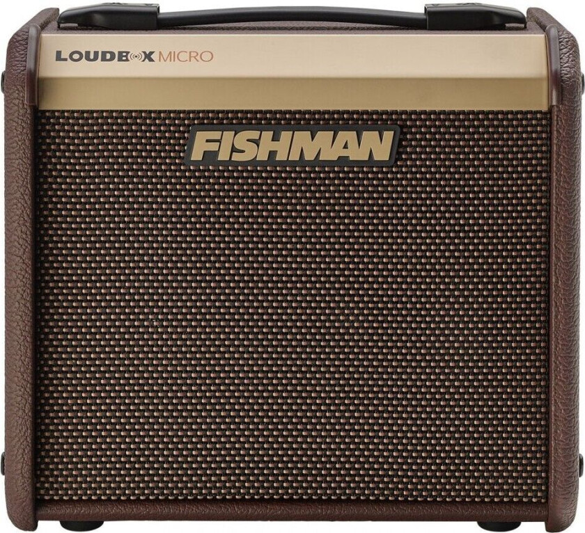 Loudbox Micro Acoustic Amplifier