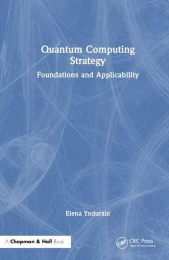 Quantum Computing Strategy Foundations and Applicability