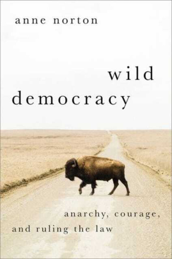 Wild Democracy  Anarchy, Courage, and Ruling the Law