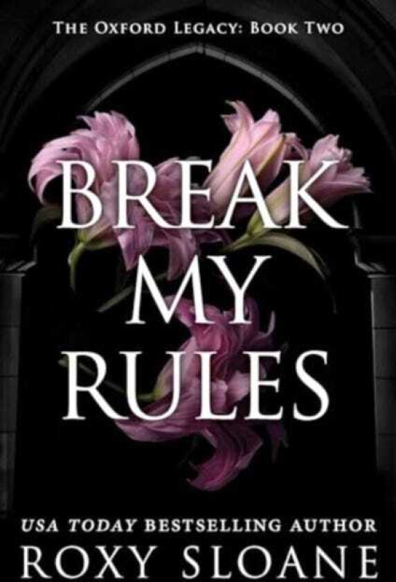 Break My Rules A Novel