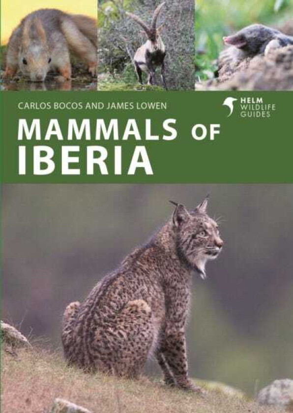 Mammals of Iberia Terrestrial mammals of Spain, Portugal and the Balearic Islands