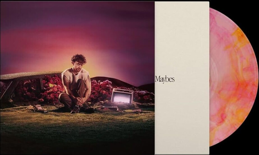 Tom Grennan What Ifs & Maybes LP/Vinyl