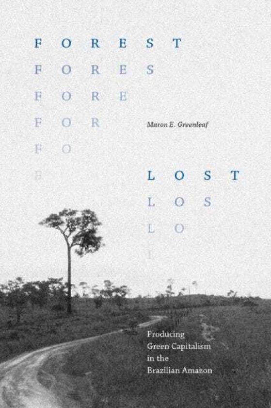 Forest Lost Producing Green Capitalism in the Brazilian Amazon