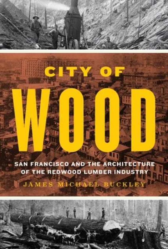 City of Wood  San Francisco and the Architecture of the Redwood Lumber Industry