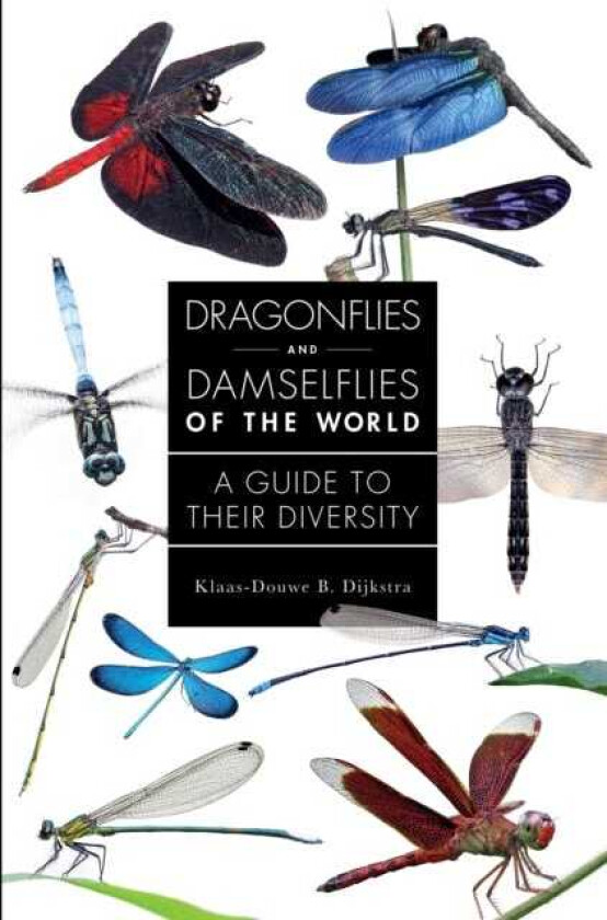 Dragonflies and Damselflies of the World A Guide to Their Diversity