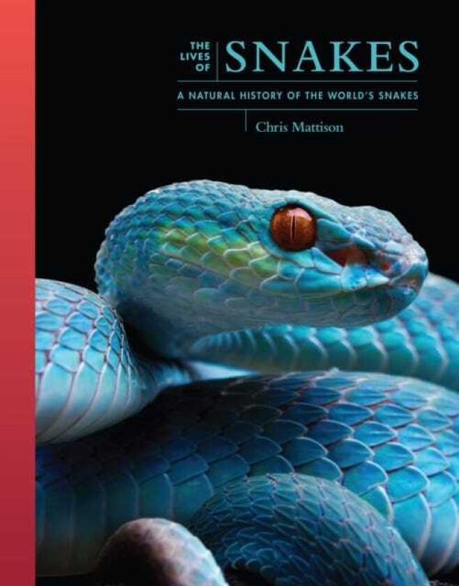 The Lives of Snakes A Natural History of the World's Snakes