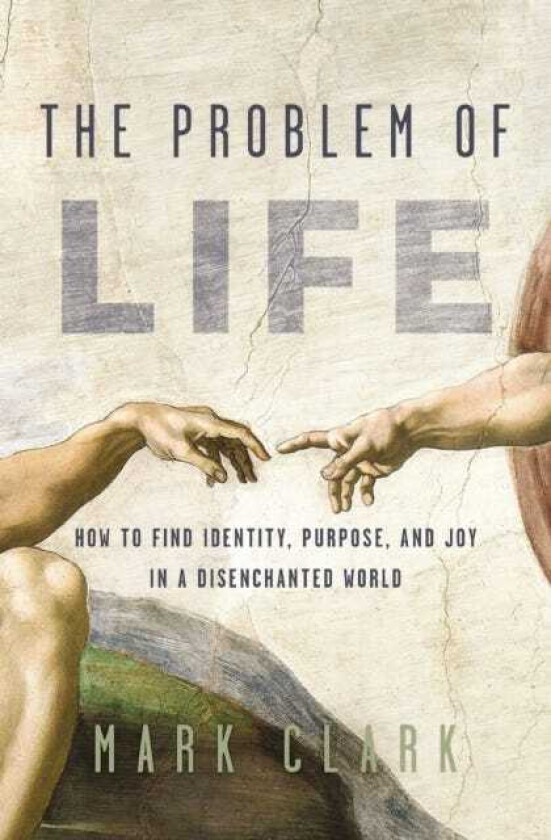 The Problem of Life How to Find Identity, Purpose, and Joy in a Disenchanted World