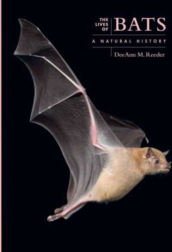 The Lives of Bats A Natural History