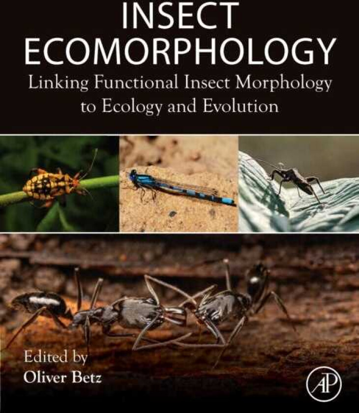 Bilde av Insect Ecomorphology  Linking Functional Insect Morphology to Ecology and Evolution