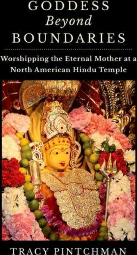 Goddess Beyond Boundaries  Worshipping the Eternal Mother at a North American Hindu Temple