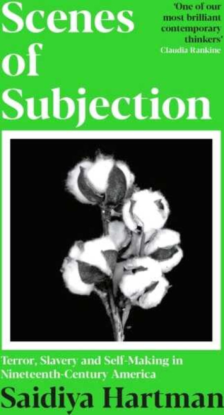 Scenes of Subjection Terror, Slavery and SelfMaking in Nineteenth Century America