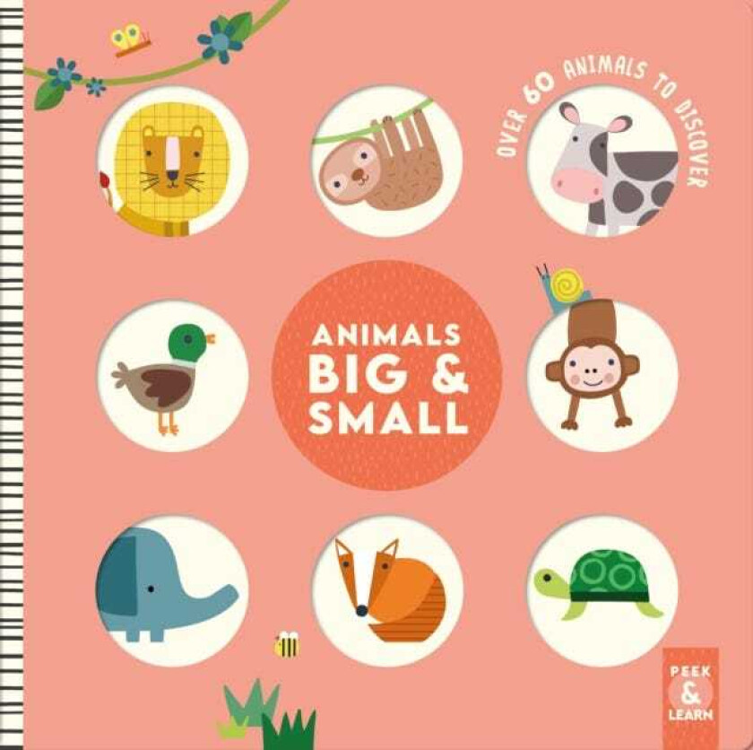 Animals Big & Small Over 60 Animals to Discover
