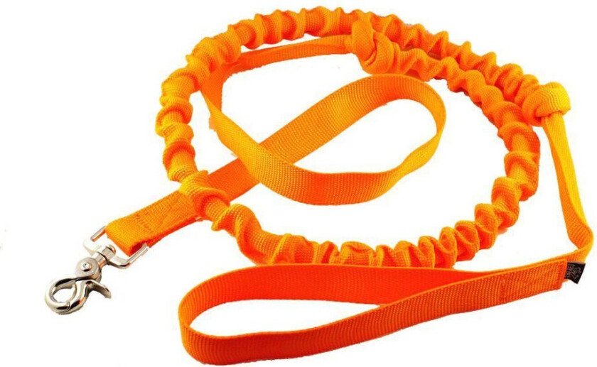 Pulling Leash Pro 2,5 x 240 cm - Orange