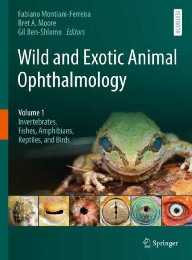 Wild and Exotic Animal Ophthalmology  Volume 1: Invertebrates, Fishes, Amphibians, Reptiles, and Birds