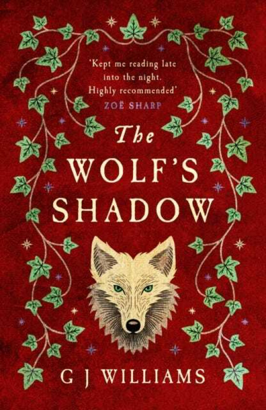 The Wolf's Shadow 'A joy for the senses... see the smoke and grime of Tudor London' Chris Lloyd