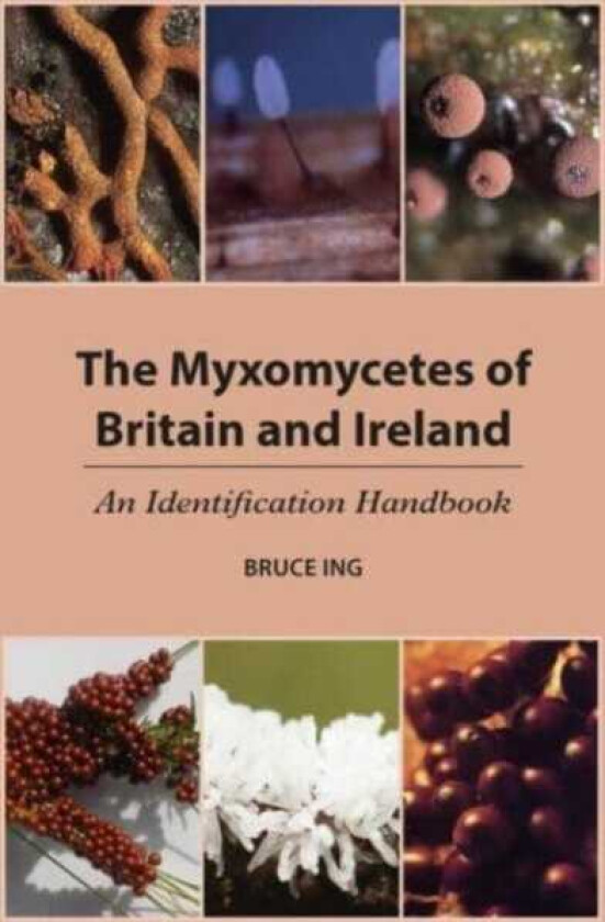 The Myxomycetes of Britain and Ireland An Identification Handbook