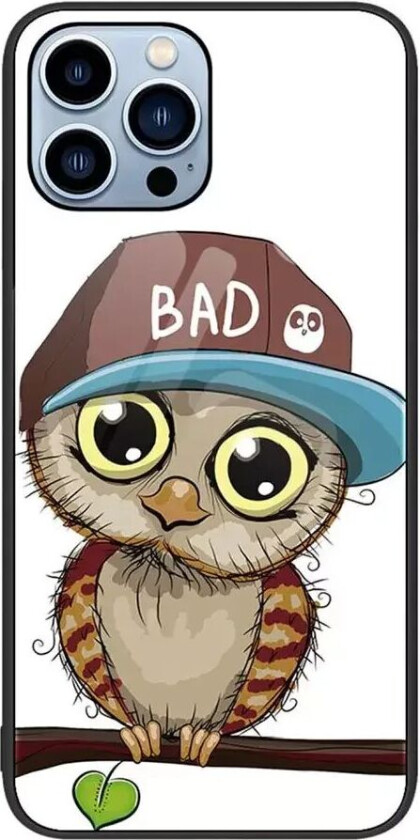 iPhone 14 Pro bakdeksel med glassbakside - Ugle