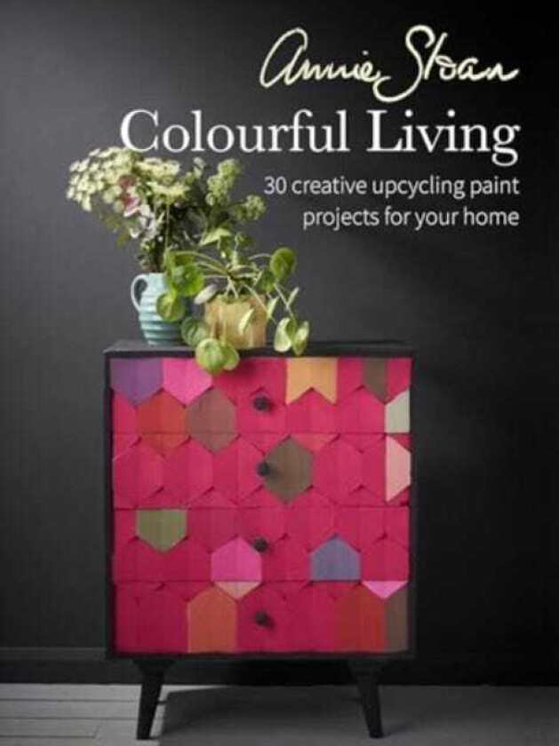 Annie Sloan Colourful Living 30 Creative Upcycling Paint Projects for Your Home