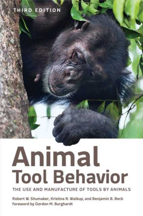 Animal Tool Behavior The Use and Manufacture of Tools by Animals