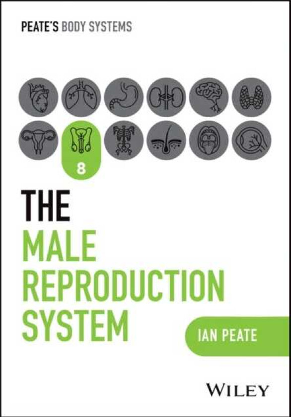The Male Reproductive System