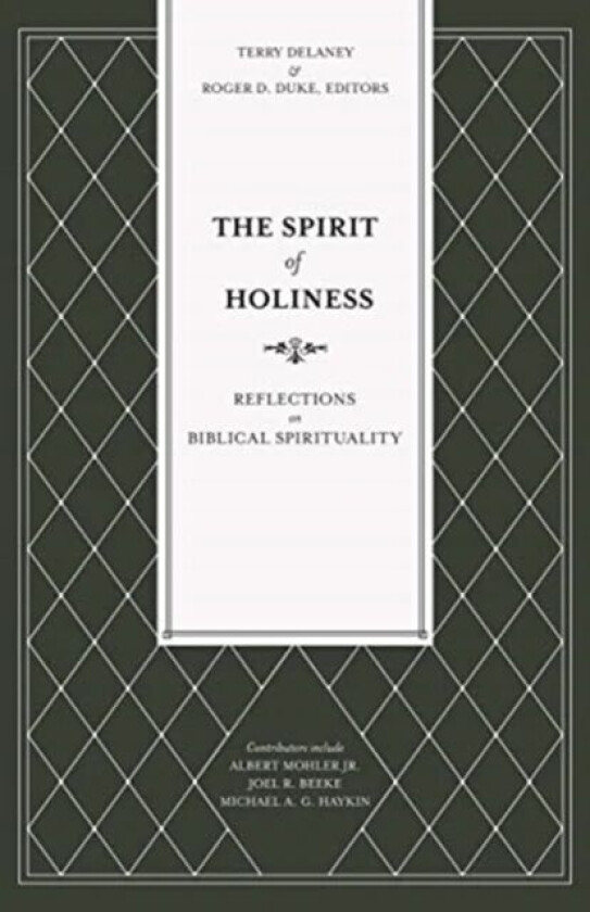 The Spirit of Holiness av Terry Delaney