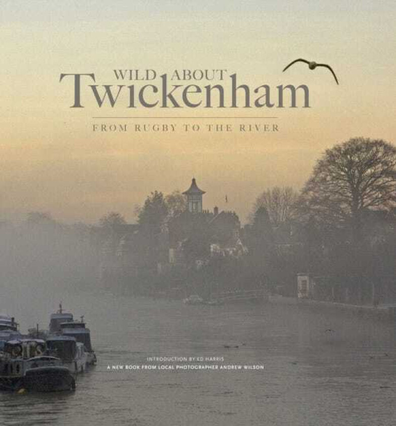 Wild About Twickenham  From Rugby to the River