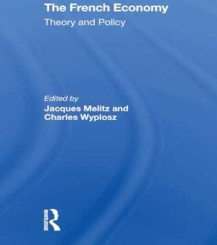 The French Economy Theory And Policy