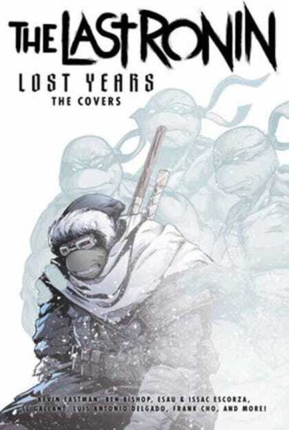 Teenage Mutant Ninja Turtles: The Last Ronin Lost Years The Covers