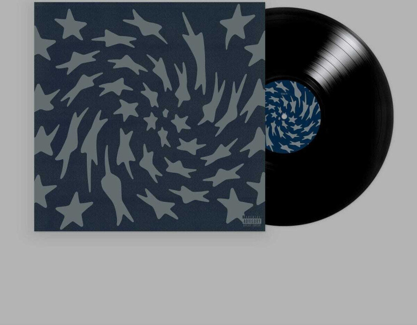 Toro Y Moi Hole Erth LP/Vinyl