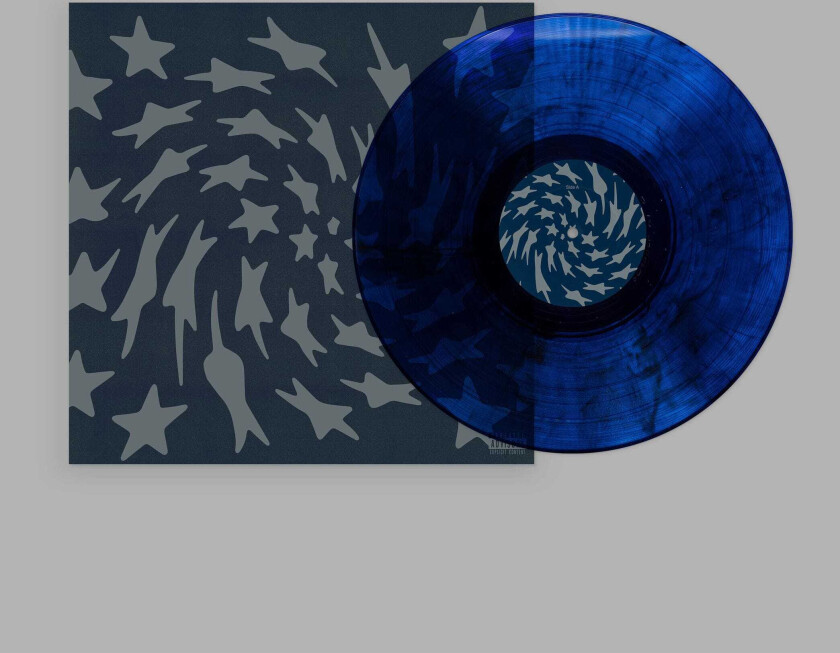 Toro Y Moi Hole Erth LP/Vinyl