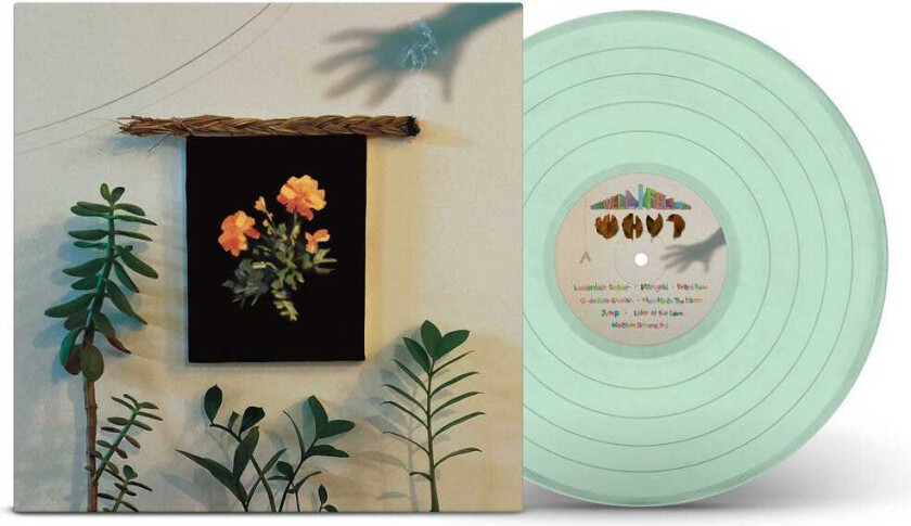 Why? The Well I Fell Into LP/Vinyl